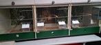 Pvc broedkooi en houten met nieuw frontenp, Enlèvement