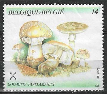 Belgie 1991 - Yvert 2419 - Paddenstoelen - Parelamaniet (ST)