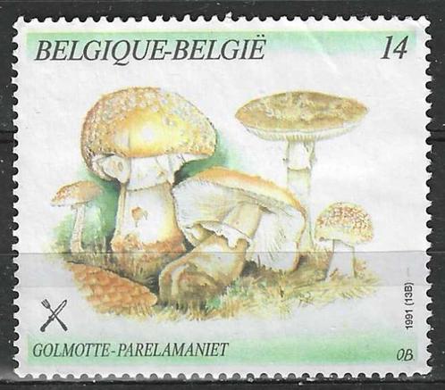 Belgie 1991 - Yvert 2419 - Paddenstoelen - Parelamaniet (ST), Timbres & Monnaies, Timbres | Europe | Belgique, Affranchi, Envoi