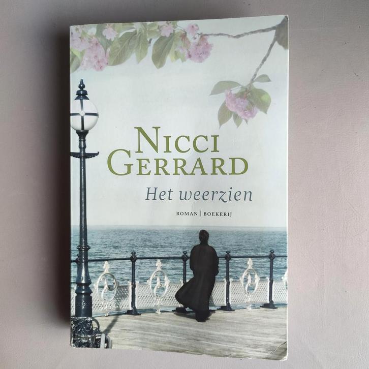 Nicci Gerrard - Het weerzien, Boeken, Literatuur, Zo goed als nieuw, Ophalen of Verzenden