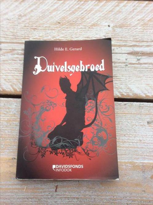 Hilde E. Gerard - Duivelsgebroed, Boeken, Kinderboeken | Jeugd | 13 jaar en ouder, Zo goed als nieuw, Fictie, Ophalen of Verzenden