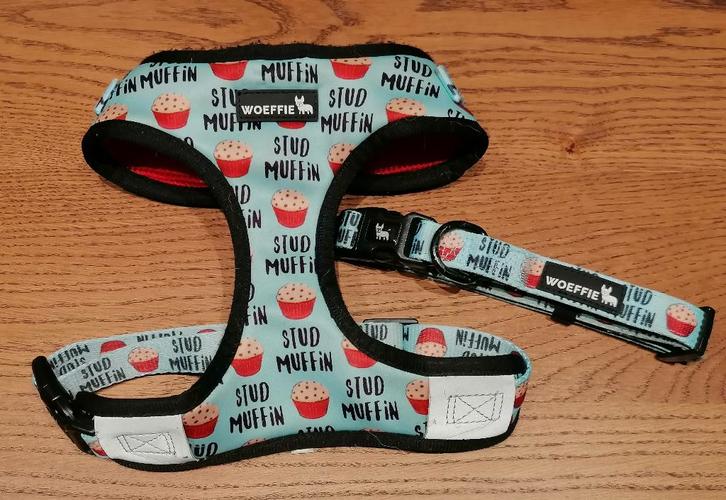 Woeffie harnas en halsband, Dieren en Toebehoren, Honden-accessoires, Zo goed als nieuw, Ophalen of Verzenden