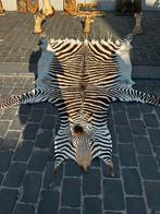 Zebra vel echt en meer, Ophalen of Verzenden