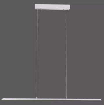 Paul Neuhaus LED-plafondlamp met verlaagd plafond beschikbaar voor biedingen