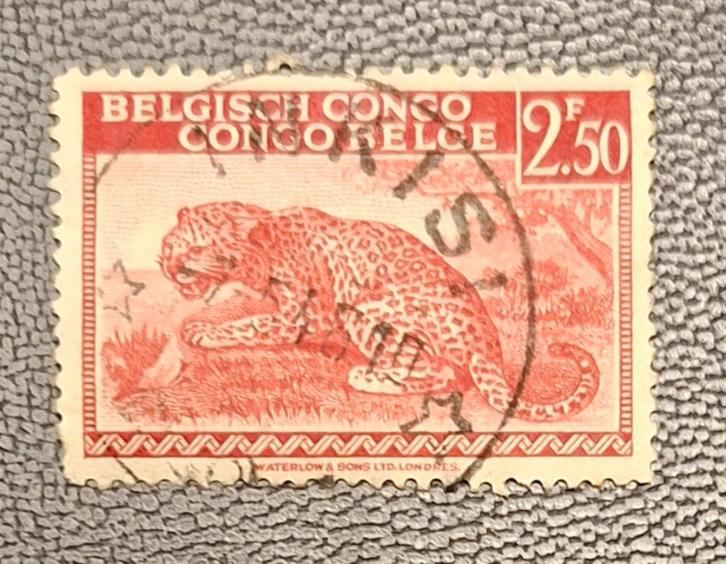 Postzegel Belgisch Congo OBP 241, Postzegels en Munten, Postzegels | Afrika, Gestempeld, Ophalen of Verzenden
