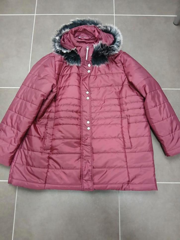 ZEER MOOIE NIEUWE BORDEAUX WINTERJAS 54-56, Kleding | Dames, Overige Dameskleding, Nieuw, Ophalen of Verzenden