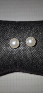 nr 137 oorbellen, Nieuw, Ophalen of Verzenden, Knopjes of Stekers, Zilver