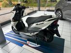 Suzuki Avenis 125cc NIEUW 5 jaar garantie, Motoren, Scooter, Bedrijf, 11 kW of minder, 1 cilinder