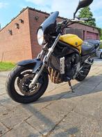 Yamaha Fazer 1000, 4 cilinders, Particulier, Toermotor, Meer dan 35 kW