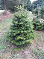 kerstbomen, Ophalen