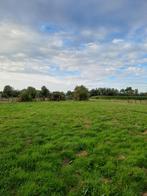 Weide te Laarne, Immo, Gronden en Bouwgronden, 1500 m² of meer