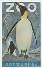 originele affiche Zoo Antwerpen - groot formaat!, Enlèvement