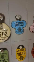 Plaque velo, Verzamelen, Ophalen