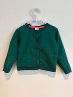 Vest meisjes 92 hema, Enfants & Bébés, Vêtements enfant | Taille 92, Enlèvement ou Envoi, Comme neuf