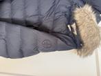 manteau Tommy femmes, Kleding | Dames, Jassen | Winter, Maat 38/40 (M), Blauw, Ophalen of Verzenden, Zo goed als nieuw