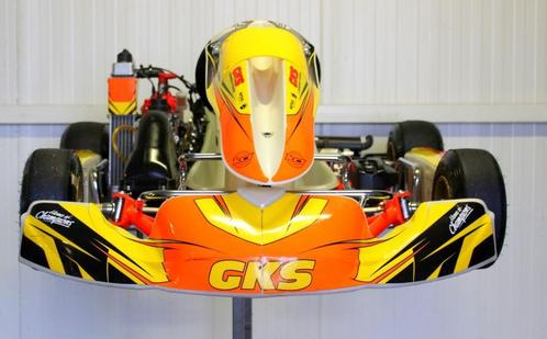 ESPRIT ROOKIE kart met Rotax Mini Max Motor, Sport en Fitness, Karting, Gebruikt, Kart, Ophalen of Verzenden