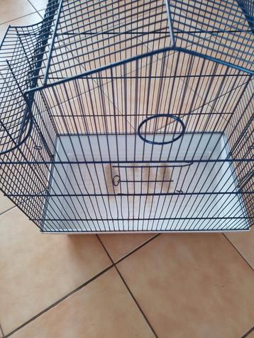 Vogelkooi beschikbaar voor biedingen