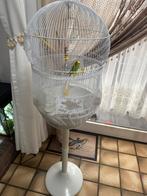 Gebruikte ovale vogelkooi met bodem., Ophalen, Zo goed als nieuw, Metaal, Vogelkooi