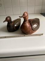 Houten eendjes, Enlèvement