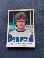 panini sticker Football 78 nr 95, Ophalen of Verzenden, Nieuw, Sticker