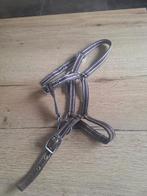 Halster veulen, Ophalen, Zo goed als nieuw, Recreatie