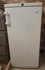 diepvrieskast Liebherr zeer goede staat, Elektronische apparatuur, Vriezers en Diepvrieskisten, Vrieskast, Gebruikt, Ophalen of Verzenden