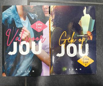 2 boeken Fallen Crest Tijan Val voor jou & Gek op jou beschikbaar voor biedingen