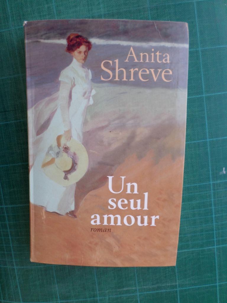Un seul amour (Anita Shreve) – 2000 – 435 pages, Livres, Littérature, Comme neuf, Europe autre, Enlèvement ou Envoi