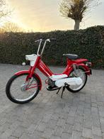 Honda camino B klasse, Autres modèles, 0 vitesses, Classe B (45 km/h), Enlèvement