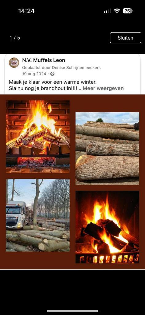 BRANDHOUT, Tuin en Terras, Brandhout, Ophalen