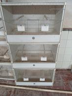 3 kweekkooien 60x30x30, Dieren en Toebehoren, Ophalen