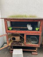 Konijnenhok, 90 cm ou plus, Niche, Cobaye, Enlèvement