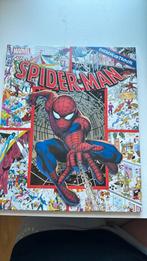 Spiderman - Cherche et trouve, Livres, BD | Comics, Utilisé