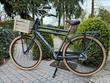 Vélo rétro Cortina U5 pour homme gris mat avec caisse Basil