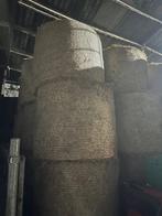 Boules de foin 2024, Dieren en Toebehoren, Ophalen, Vee