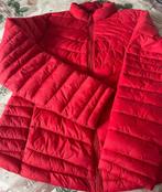 Rode jas medium, Kleding | Dames, Jassen | Winter, Ophalen of Verzenden, Nieuw