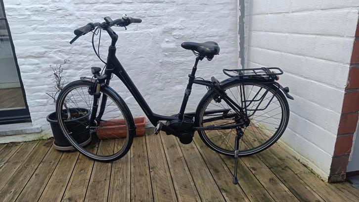 Raleigh by Derby elektrische fiets., Fietsen en Brommers, Elektrische fietsen, Zo goed als nieuw, Ophalen of Verzenden