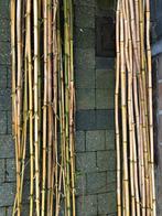 Bamboestokken van 2/3/4m, Tuin en Terras, Kweekspullen, Ophalen