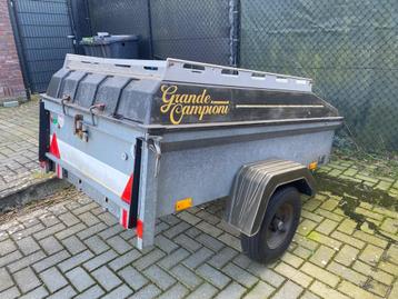 Saris Grande Campioni beschikbaar voor biedingen