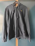Sweater met rits - Hollister - medium, Ophalen of Verzenden, Gedragen, Maat 48/50 (M), Hollister