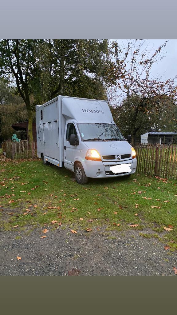 Paardencamionette Renault Master, Dieren en Toebehoren, Paarden en Pony's | Trailers en Aanhangwagens, Gebruikt, 2-paards trailer