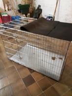 cage transport chien, Animaux & Accessoires, Enlèvement, Utilisé