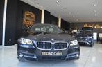 BMW 518 D 2.0 AUTOMATISCH VELE OPTIES 1STE EIGENAAR, Autos, Cuir, Argent ou Gris, Entreprise, Carnet d'entretien