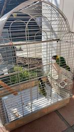 Twee papegaaien(personatas) met de kooi, Enlèvement, Comme neuf