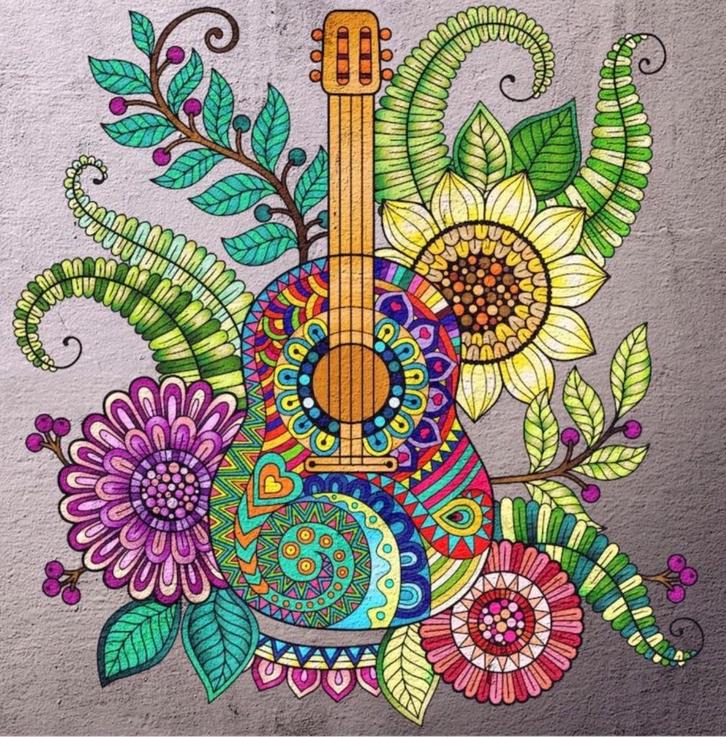 Privé Gitaarles te Merksem voor Beginners., Muziek en Instrumenten, Snaarinstrumenten | Gitaren | Akoestisch, Ophalen