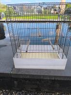 Oude vogelkooi, Ophalen, Zo goed als nieuw, Vogelkooi