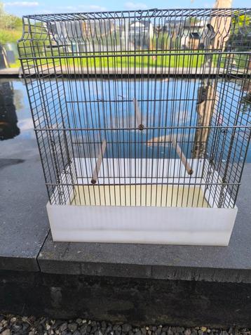 Oude vogelkooi beschikbaar voor biedingen