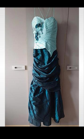 Turquoise Baljurk beschikbaar voor biedingen