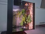 Juwel lido 120 aquarium, Dieren en Toebehoren, Ophalen, Zo goed als nieuw, Gevuld zoetwateraquarium