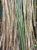 Bamboe stokken tot 5m, Tuin en Terras, Nieuw, Ophalen of Verzenden
